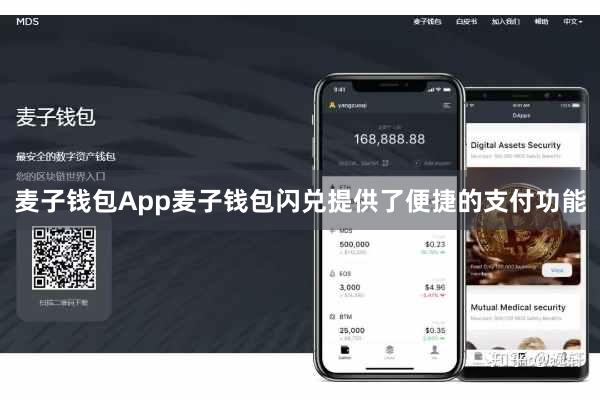 麦子钱包App麦子钱包闪兑提供了便捷的支付功能