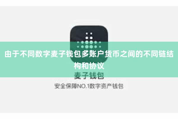 由于不同数字麦子钱包多账户货币之间的不同链结构和协议