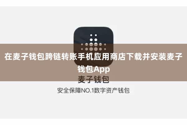 在麦子钱包跨链转账手机应用商店下载并安装麦子钱包App