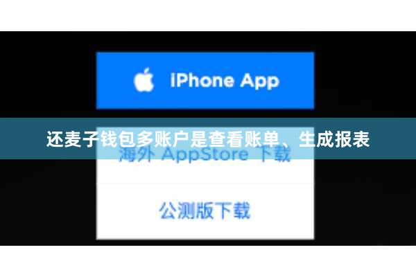 还麦子钱包多账户是查看账单、生成报表