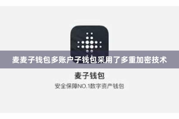 麦麦子钱包多账户子钱包采用了多重加密技术