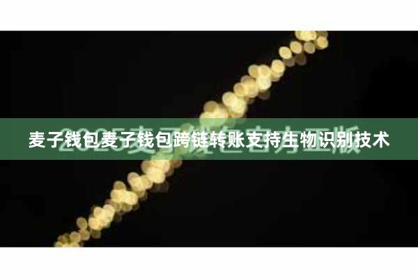 麦子钱包麦子钱包跨链转账支持生物识别技术