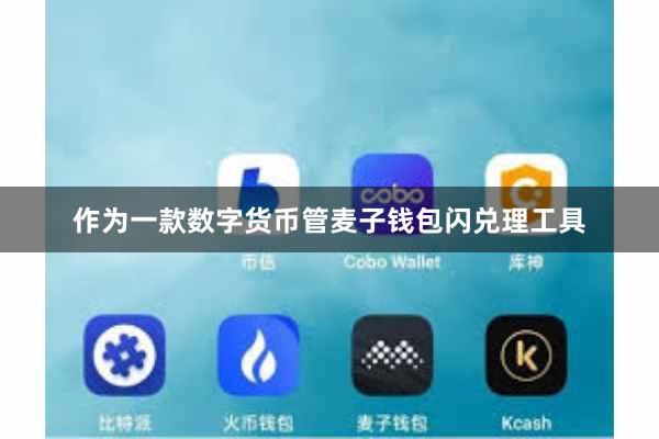 作为一款数字货币管麦子钱包闪兑理工具