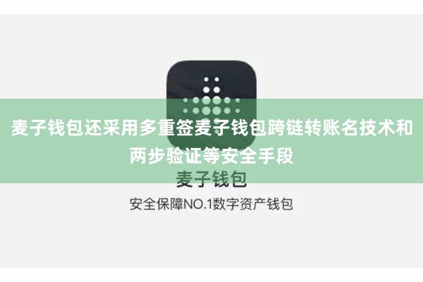 麦子钱包还采用多重签麦子钱包跨链转账名技术和两步验证等安全手段