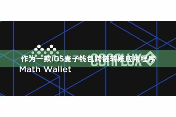 作为一款iOS麦子钱包跨链转账应用程序