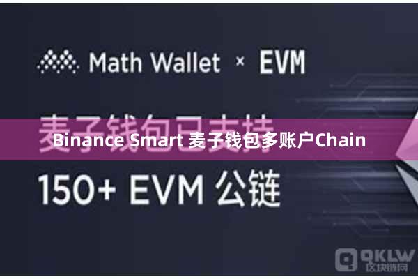 Binance Smart 麦子钱包多账户Chain