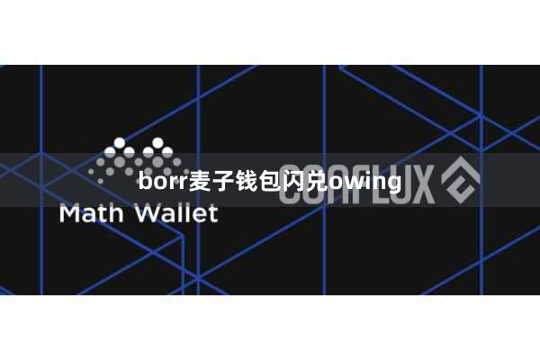 borr麦子钱包闪兑owing