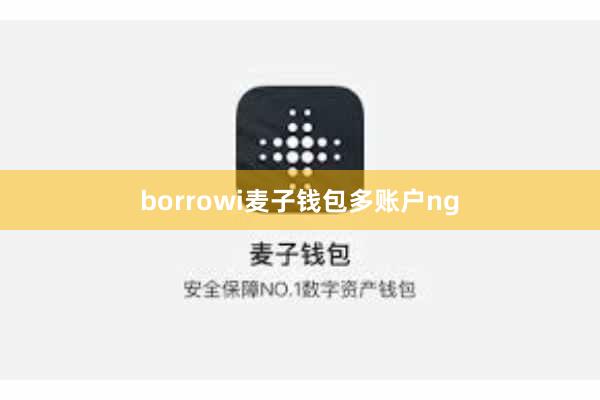 borrowi麦子钱包多账户ng