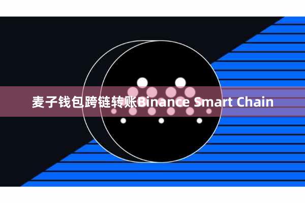 麦子钱包跨链转账Binance Smart Chain