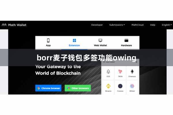 borr麦子钱包多签功能owing