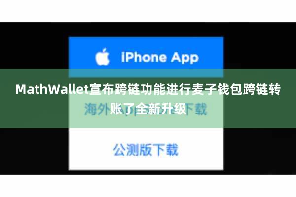 MathWallet宣布跨链功能进行麦子钱包跨链转账了全新升级