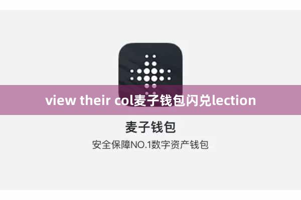 view their col麦子钱包闪兑lection