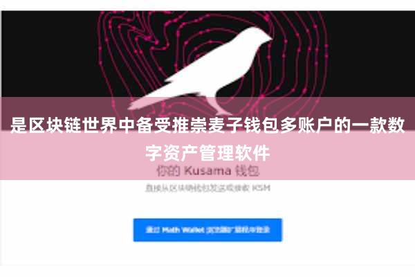 是区块链世界中备受推崇麦子钱包多账户的一款数字资产管理软件