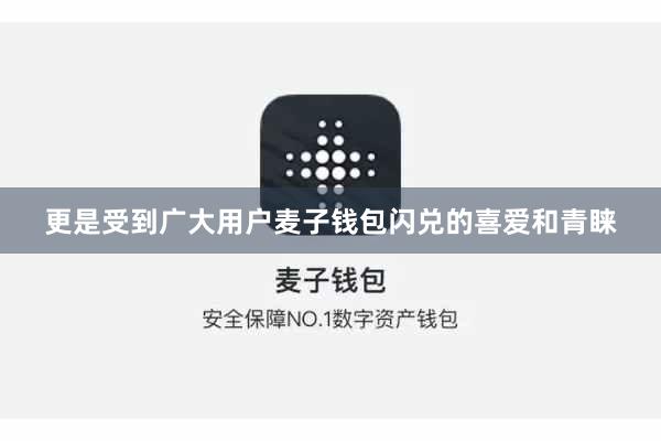 更是受到广大用户麦子钱包闪兑的喜爱和青睐