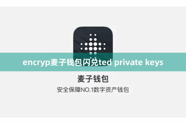 encryp麦子钱包闪兑ted private keys