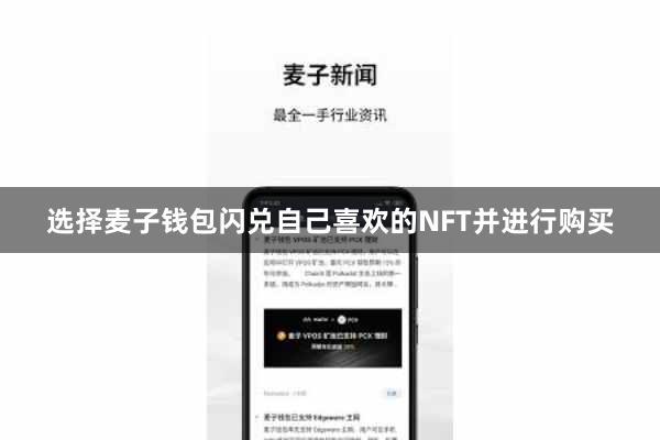 选择麦子钱包闪兑自己喜欢的NFT并进行购买