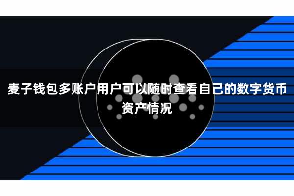 麦子钱包多账户用户可以随时查看自己的数字货币资产情况