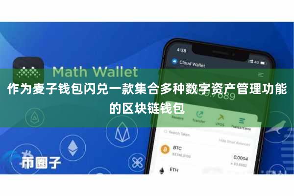 作为麦子钱包闪兑一款集合多种数字资产管理功能的区块链钱包