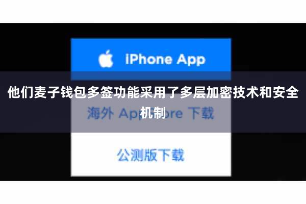 他们麦子钱包多签功能采用了多层加密技术和安全机制